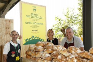 Rural - Claudio Grossi, grano del miracolo, orzo leonessa