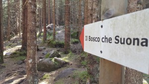 il bosco che suona cartello